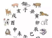 4月2日生肖狗运势预警：今日运势详细查询攻略，提前知晓吉凶，趋吉避凶
