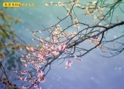 兔年4月2日运势预测：生肖兔今日运势详解，助你轻松应对一天！