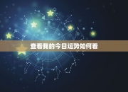 今日运势详细查询攻略：生肖狗4月2日运势分析，让你轻松掌握一天的吉凶