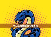 生肖蛇4月3日运程深度分析：工作、爱情、健康，今日运势全面解读！