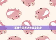今日生肖猪运势深度研究：提升运势的技巧与方法，成就好的一天