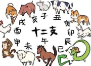 4月3日生肖狗运势全面解读：今日吉凶如何？
