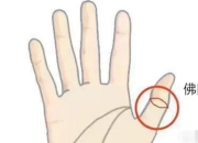 探秘佛眼纹：掌纹中的三世修行印记，究竟如何解读？