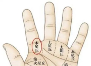 掌纹密码揭秘：解析月丘与左右脑开发度之间的潜在联系
