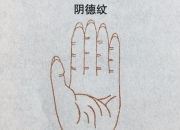 掌纹中的量子纠缠：双胞胎跨时空沟通的生物学证据，颠覆传统认知？