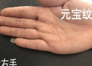 掌相玄机：金型手体制内考编上岸率87%的惊人秘密——解读你的掌纹，提升成功几率！