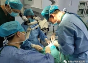 换手术运势乱！器官记忆的证据链：挑战医学认知的全新理论