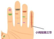 指节横纹是骨质疏松的早期征兆？30+女性如何预防骨质疏松？