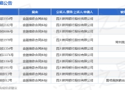新网银行作为原告/上诉人的10起涉及金融借款合同纠纷的诉讼将于2025年4月17日开庭