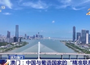 发挥好“精准联系人”作用 澳门推动中葡经贸合作