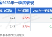 林昊2025年一季度表现，新机遇LOF基金季度跌幅0.45%