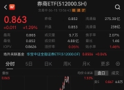突发异动！国风新材 54分跌停 000859 12月19日14