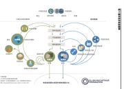 开启循环经济新篇章 辽宁省诚铭益再生资源有限公司宣告成立