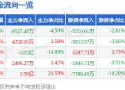 中欣氟材（002915）5月8日主力资金净卖出8527.48万元