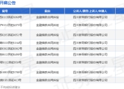 新网银行作为原告/上诉人的9起涉及金融借款合同纠纷的诉讼将于2025年5月27日开庭