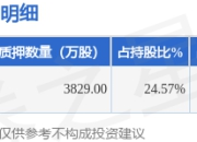 海能实业（300787）股东周洪亮质押3829万股，占总股本12.22%