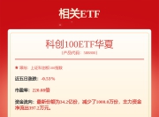 珠海冠宇: 珠海冠宇电池股份有限公司向不特定对象发行可转换公司债券受托管理事务报告（2024年度）
