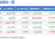丽岛新材（603937）7月25日主力资金净卖出304.61万元