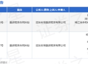 宏信融资作为原告/上诉人的2起涉及融资租赁合同纠纷的诉讼将于2025年8月19日开庭