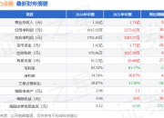 新力金融（600318）2025年中报简析：营收净利润同比双双增长