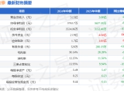 新宏泰（603016）2025年中报简析：净利润减8.94%，公司应收账款体量较大
