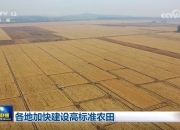 各地加快建设高标准农田