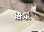 实用的网络流行的语录摘录56条