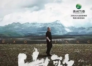 刀郎上海站首轮开票即售罄！申城大型演唱会密集上新