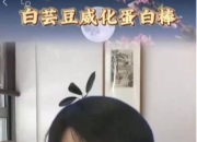 AI张文宏带货背后：合成名人视频的边界在哪？有哪些法律问题？