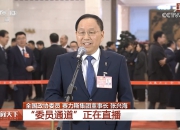 委员通道丨张兴海：问界M9首年交付15万 市场认可用户喜爱