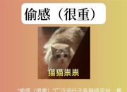 班味、搞抽象、水灵灵地……年度十大网络流行语出炉，你“get到了”吗？