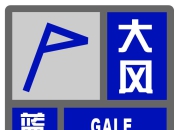 上海发布大风蓝色预警：冷空气南下影响申城 下周三起气温回升