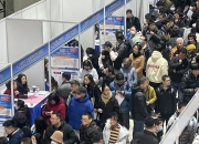 宝山区这场大型招聘会提供约3000个岗位，还有数字人为求职者出谋划策