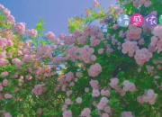 扬起正能量之帆，乘风破浪，奔赴璀璨未来