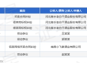 老白干酒业作为原告/上诉人的1起涉及侵害商标权纠纷的诉讼将于2025年3月31日开庭
