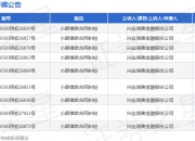 兴业消金作为原告/上诉人的9起涉及小额借款合同纠纷的诉讼将于2025年3月31日开庭